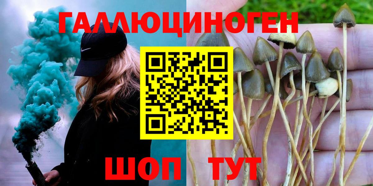 Галлюциногенные грибы Magic Shrooms  Псилоцибиновые грибы Magic Shrooms  Вход с VPN  Норильск 